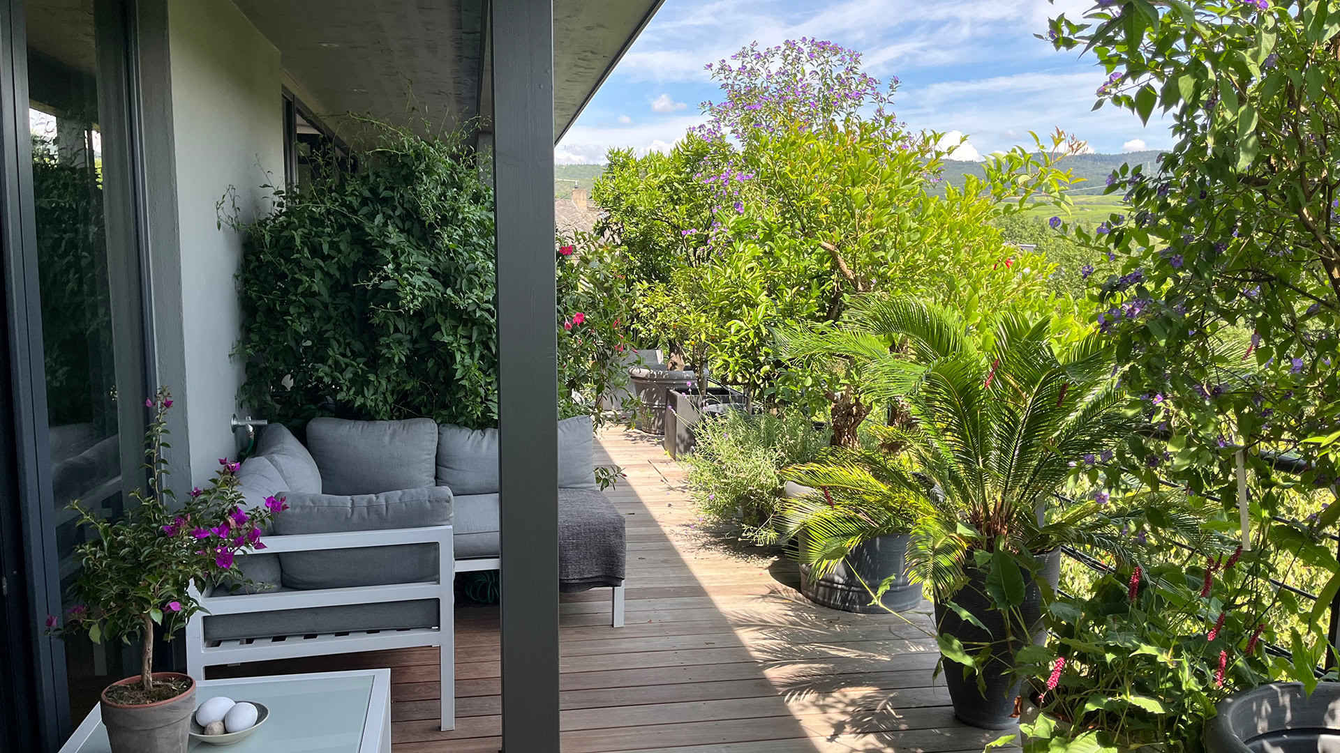 Grüne Balkonterrasse mit Sitzmöbeln und üppigen Pflanzen