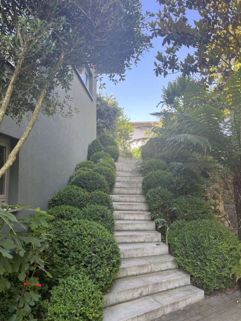 Steintreppe im grünen Garten neben modernem Haus