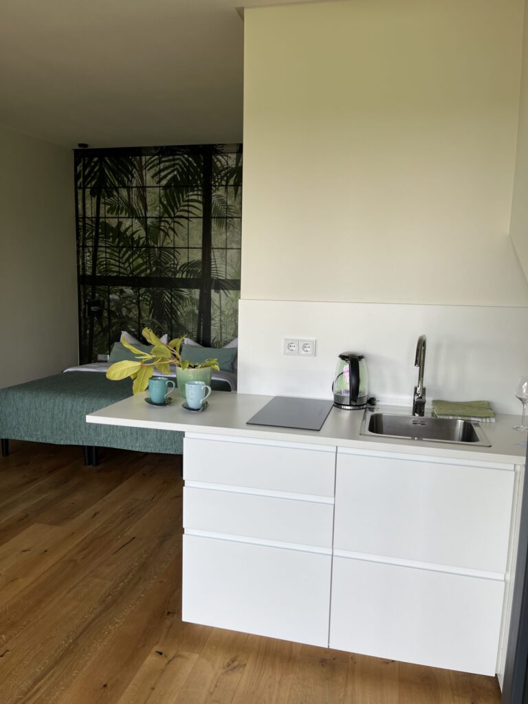 Moderne Küchenzeile mit Spüle, Bett und Pflanzenmotiv